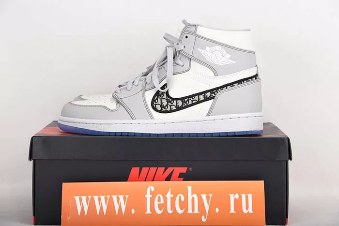 Air Jordan 1 X Dior