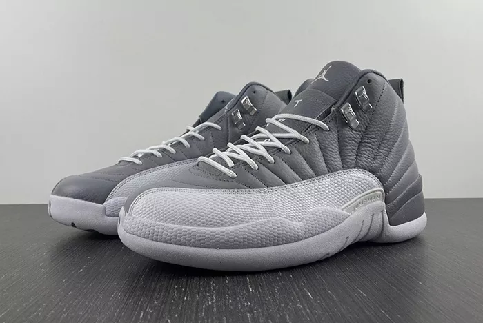 Air Jordan 12 STEALTH CT8013-015