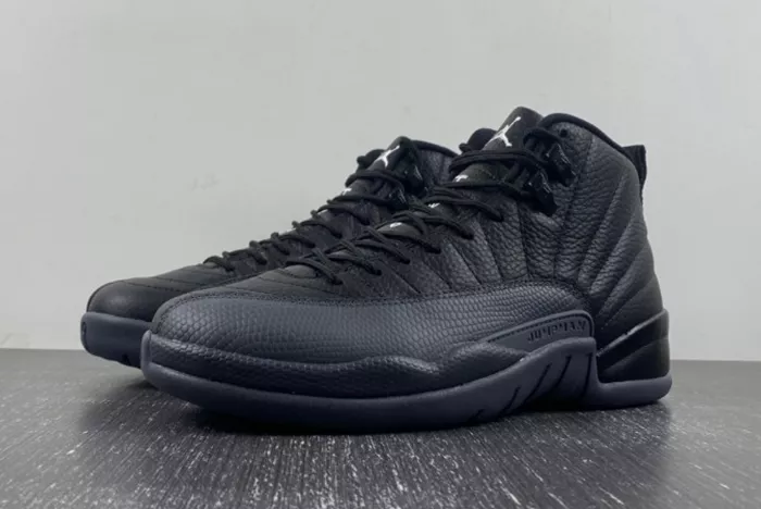 Air Jordan 12 “Black/Wolf Grey” Expected In Fall 2024 CT8013-019