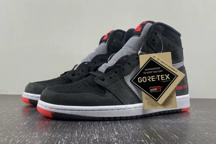 Air Jordan 1 Element Bred Gore-Tex DB2889-002